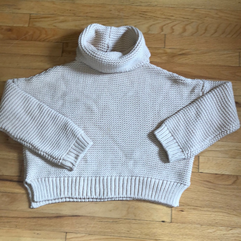 Zara Boxy Turtleneck Sweater